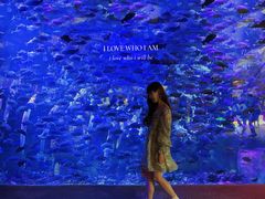 -波塞冬旅游度假区