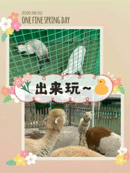 点击看大图 -萌宠亲子动物乐园(槐房万达店)