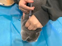 -美迦爱-牙专科·兔科·骨科诊疗中心(北苑店)