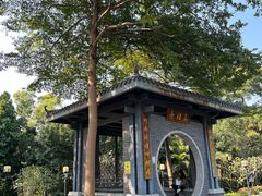 -清湖文化公园