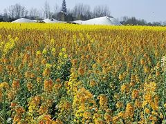 -中国天府农业博览园