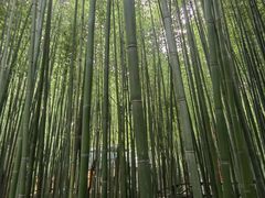 -竹泉村旅游度假区