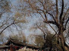 -恭王府博物馆