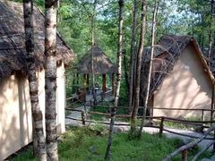 -黑河国家森林公园