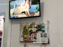 -BABYDOG宝贝狗宠物乐园(欧洲城店)