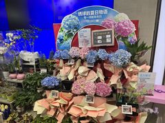 -盒马鲜生(大成店)