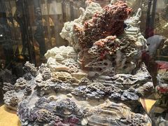 -顺风海鲜港(金玉兰店)
