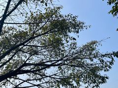 -重庆彩云湖湿地公园