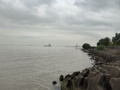 -上海滨江森林公园