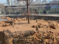 -昆明动物园