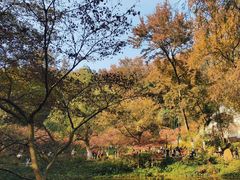 -岳麓山风景名胜区