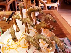 -尚海豆捞(乐虹坊店)