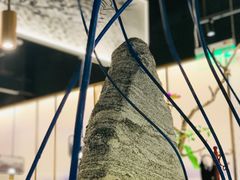 -新辣道鱼火锅(航天万源店)