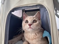 -中农国际动物医院24小时·猫科·骨科·急重症中心