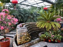 -陆地游轮吉林神农温泉