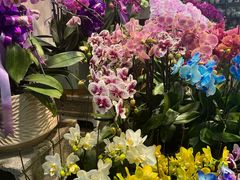 -香炉礁家具市场