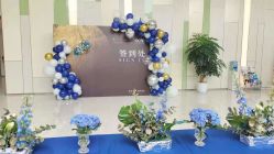 -苏派宝宝生日宴·求婚策划·气球派对布置(园区店)