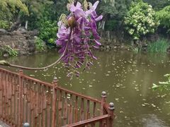 -郑和公园