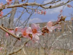 -云南艺术学院(呈贡校区)