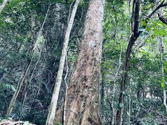 -七仙岭温泉国家森林公园