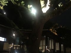 -草山夜未眠景观餐厅