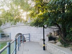 -莲湖公园