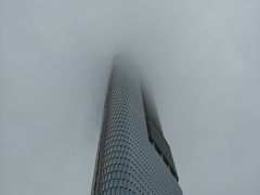 -紫峰大厦
