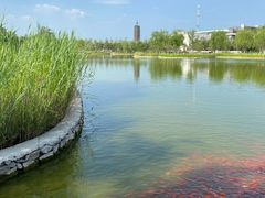 -西海子公园