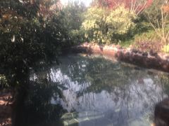 -苏州湾王焰温泉度假酒店