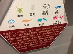 -河北省血液中心-无偿献血科普馆