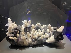 -湖南省地质博物馆