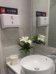 -YESIDO椰岛造型