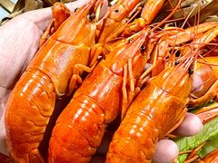 -星记小馆·小蓝龙·老南京砂锅菜(上海路店)