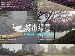 -新江湾城公园