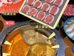 -快乐小羊(富强中路店)