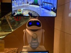 -武汉马哥孛罗酒店