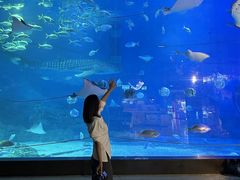 -烟台海昌鲸鲨海洋公园