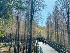-福道