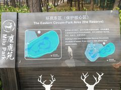 -北京麋鹿生态实验中心