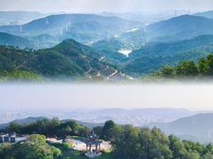 -黄埔油麻山森林公园