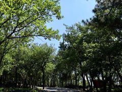 -沂蒙山旅游区龟蒙景区