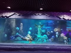 -梦幻海洋王国(吾悦广场张家港店)