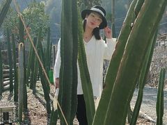 -MOJ coffee(瓯海泽雅水碓坑店)