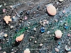 -海合安武汉极地海洋公园