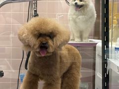 -FAELING PETS美天灵宠物(富力广场店)