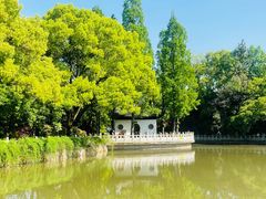 -汇龙潭