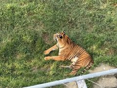 -无锡动物园·太湖欢乐园