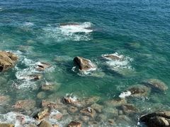 -广东惠东海龟国家级自然保护区