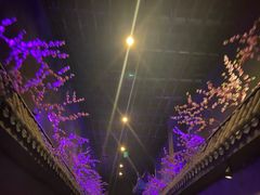 -芜湖方特东方神画