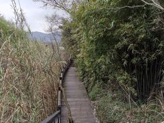 -东海大峡谷